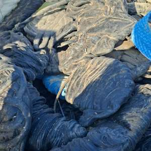 Containere încărcate cu aproximativ 40 tone deșeuri, depistate în Portul Constanța