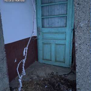 Poliţia de Frontieră: 73 de percheziții într-un dosar privind stabilirea fictivă a domiciliilor şi obţinerea ilegală de acte