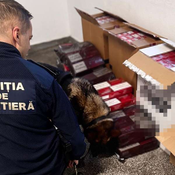 54.000 de țigarete de contrabandă descoperite de polițiștii de frontieră la bordul unei nave, &icirc;n Portul Constanța