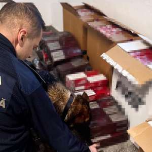 54.000 de țigarete de contrabandă descoperite de polițiștii de frontieră la bordul unei nave, în Portul Constanța