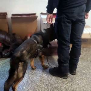 54.000 de țigarete de contrabandă descoperite de polițiștii de frontieră la bordul unei nave, în Portul Constanța