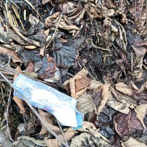 Două persoane arestate pentru deținerea de droguri de mare risc pe care intenționau să le comercializeze