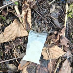 Două persoane arestate pentru deținerea de droguri de mare risc pe care intenționau să le comercializeze