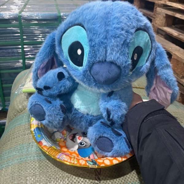 Jucării şi genţi susceptibile a fi contrafăcute, evaluate la peste 163.000 de euro, descoperite de polițiștii de frontieră constănțeni