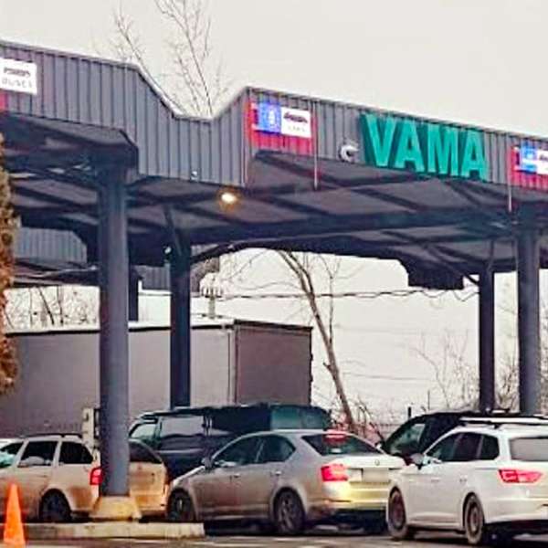 La volan cu permise de conducere false