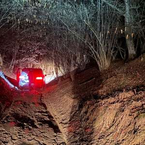 24.000 de pachete cu țigări, în valoare de peste 464.000 de lei, descoperite  într-un autovehicul de către poliţiştii de frontieră