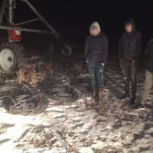 Depistați de către polițiștii de frontieră de la Stânca în timp ce tăiau cabluri din sistemul de irigaţii