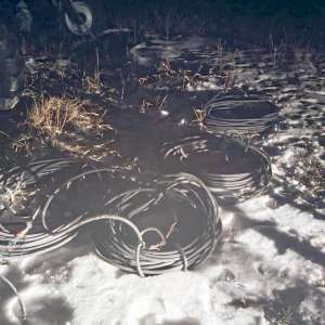 Depistați de către polițiștii de frontieră de la Stânca în timp ce tăiau cabluri din sistemul de irigaţii