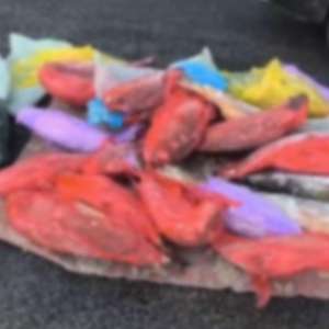 Pește transportat fără documente legale, confiscat de polițiștii de frontieră mehedințeni