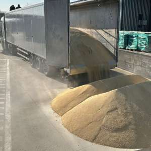 Contrabandă ingenioasă la frontieră: țigări în valoare de 63.000 de euro ascunse în podeaua unui camion cu furaje de soia vrac