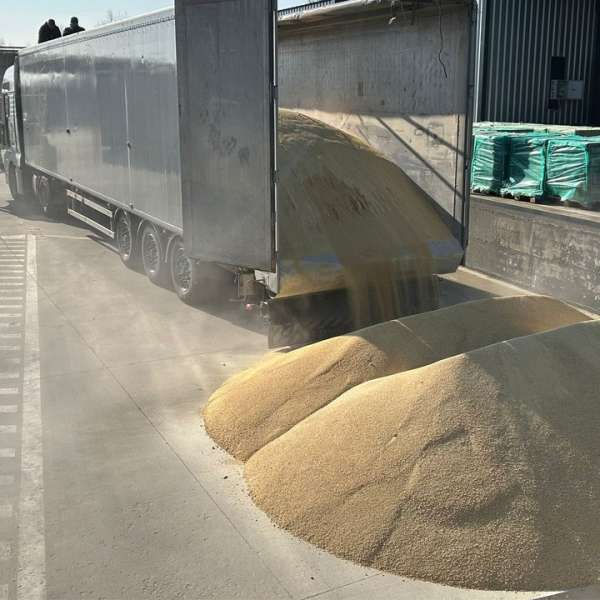 Contrabandă ingenioasă la frontieră: țigări &icirc;n valoare de 63.000 de euro ascunse &icirc;n podeaua unui camion cu furaje de soia vrac