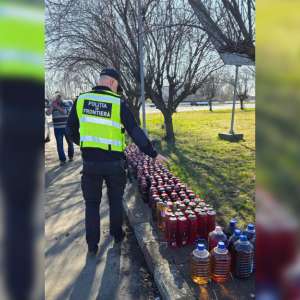 Amenzi de aproximativ 30.000 de lei aplicate în timpul unor acțiuni în județul Satu Mare