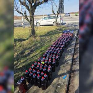 Amenzi de aproximativ 30.000 de lei aplicate în timpul unor acțiuni în județul Satu Mare