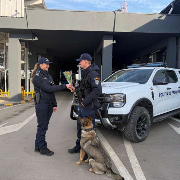 Results recorded at the border in the last 24 hours