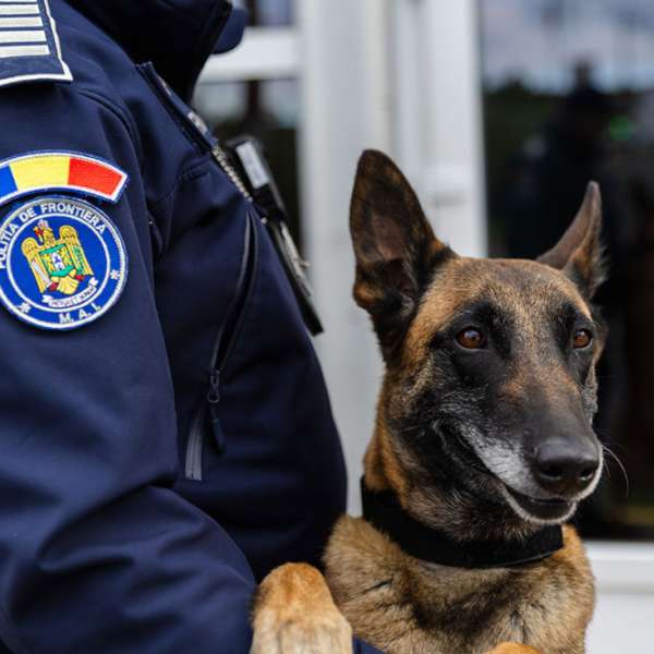 Results recorded at the border in the last 24 hours