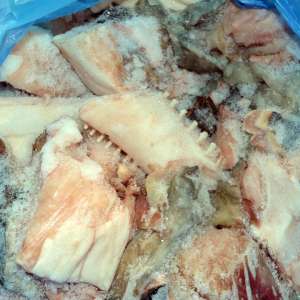 Aproximativ 15 kg de icre negre, peste 48 kg de sturion și diverse sume de bani descoperite de polițiștii de frontieră constănțeni, în urma unor percheziții