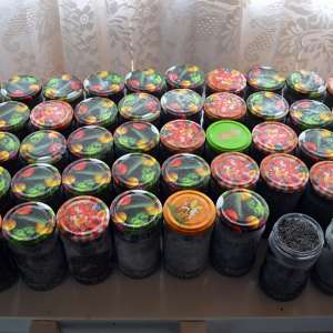 Aproximativ 15 kg de icre negre, peste 48 kg de sturion și diverse sume de bani descoperite de polițiștii de frontieră constănțeni, în urma unor percheziții