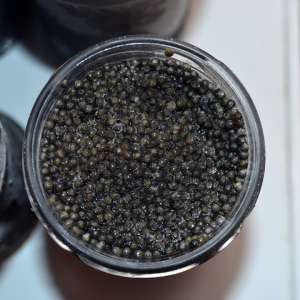 Aproximativ 15 kg de icre negre, peste 48 kg de sturion și diverse sume de bani descoperite de polițiștii de frontieră constănțeni, în urma unor percheziții