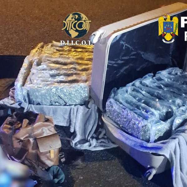Aproximativ 31 kilograme de canabis descoperite de către poliţiştii de frontieră de la Sectorul Poliţiei de Frontieră Nădlac