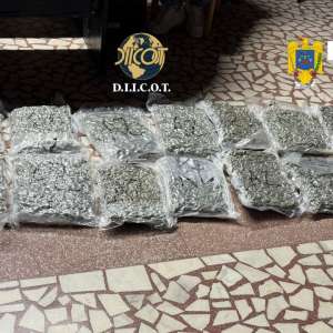 Aproximativ 31 kilograme de canabis descoperite de către poliţiştii de frontieră de la Sectorul Poliţiei de Frontieră Nădlac