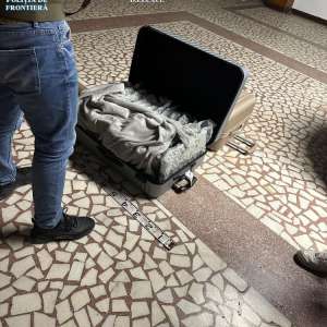 Aproximativ 31 kilograme de canabis descoperite de către poliţiştii de frontieră de la Sectorul Poliţiei de Frontieră Nădlac