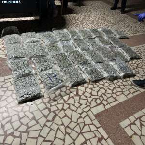 Aproximativ 31 kilograme de canabis descoperite de către poliţiştii de frontieră de la Sectorul Poliţiei de Frontieră Nădlac
