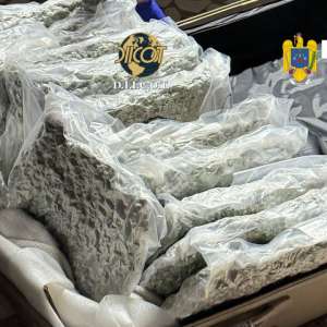 Aproximativ 31 kilograme de canabis descoperite de către poliţiştii de frontieră de la Sectorul Poliţiei de Frontieră Nădlac