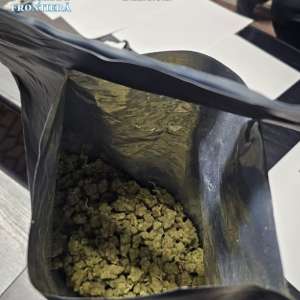 Cetățean român depistat pe autostrada A1, în apropiere de Nădlac, cu 500 de grame de canabis