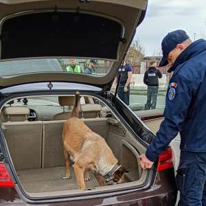 Aproximativ 1.000 de persoane și 500 mijloace de transport verificate, în județul Satu Mare  