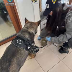 Tânăr prins în flagrant polițiștii de frontieră, în Satu Mare, cu droguri de mare risc în mașină