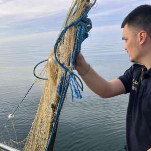 Polițiștii de frontieră au salvat cinci sturioni prinși în plase ilegale, în Marea Neagră