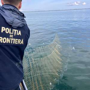 Polițiștii de frontieră au salvat cinci sturioni prinși în plase ilegale, în Marea Neagră
