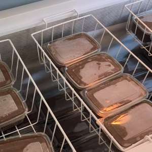 Percheziții pentru combaterea braconajului piscicol: captură semnificativă de pește și icre, echipamente ilegale și bani ridicați de polițiștii de frontieră