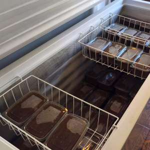 Percheziții pentru combaterea braconajului piscicol: captură semnificativă de pește și icre, echipamente ilegale și bani ridicați de polițiștii de frontieră