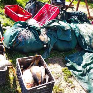 Percheziții pentru combaterea braconajului piscicol: captură semnificativă de pește și icre, echipamente ilegale și bani ridicați de polițiștii de frontieră