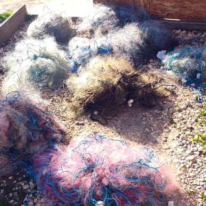 Percheziții pentru combaterea braconajului piscicol: captură semnificativă de pește și icre, echipamente ilegale și bani ridicați de polițiștii de frontieră