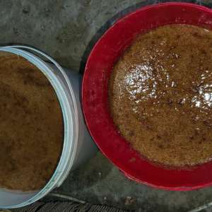 Percheziții pentru combaterea braconajului piscicol: captură semnificativă de pește și icre, echipamente ilegale și bani ridicați de polițiștii de frontieră