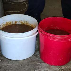 Percheziții pentru combaterea braconajului piscicol: captură semnificativă de pește și icre, echipamente ilegale și bani ridicați de polițiștii de frontieră