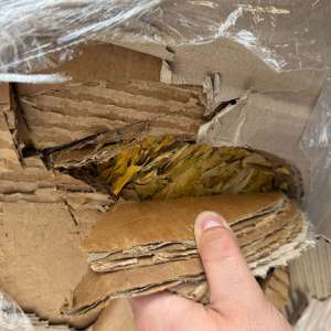 Peste o tonă de tutun vrac descoperită de polițiștii de frontieră giurgiuveni în urma unui control efectuat asupra unei autoutilitare