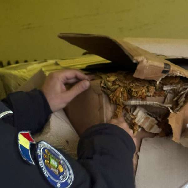 Peste o tonă de tutun vrac descoperită de polițiștii de frontieră giurgiuveni &icirc;n urma unui control efectuat asupra unei autoutilitare