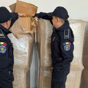 Peste o tonă de tutun vrac descoperită de polițiștii de frontieră giurgiuveni în urma unui control efectuat asupra unei autoutilitare