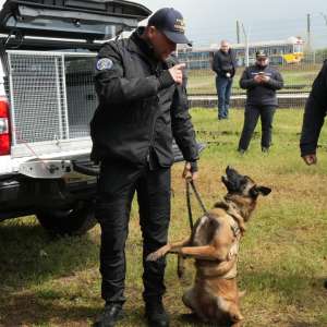 România și Republica Moldova consolidează controlul coordonat pe teritoriul național, pe ambele sensuri de deplasare