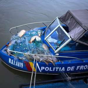 Patru sturioni, 65 kg de pește capturat ilegal, peste 1.500 metri de plase și o barcă cu număr fals de identificare, descoperite de polițiștii de frontieră tulceni