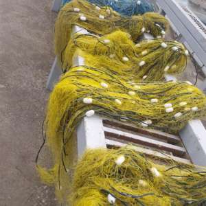 Patru sturioni, 65 kg de pește capturat ilegal, peste 1.500 metri de plase și o barcă cu număr fals de identificare, descoperite de polițiștii de frontieră tulceni