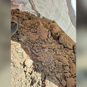 Poliţiştii de frontieră au descoperit 165 de tone de deșeuri în Portul Constanța