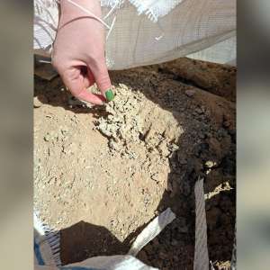 Poliţiştii de frontieră au descoperit 165 de tone de deșeuri în Portul Constanța