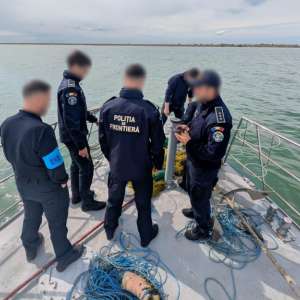 Polițiștii de frontieră au salvat 17 sturioni prinși în plase ilegale pe Marea Neagră