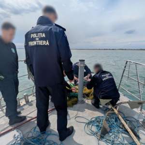 Polițiștii de frontieră au salvat 17 sturioni prinși în plase ilegale pe Marea Neagră