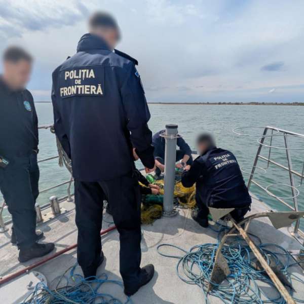 Polițiștii de frontieră au salvat 17 sturioni prinși &icirc;n plase ilegale pe Marea Neagră