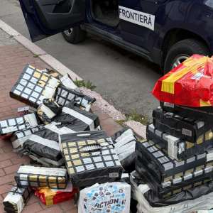 Acțiuni CLEAN BORDER II SUD: capturi de peste un milion de lei și mai multe infracțiuni constatate la frontiera sudică